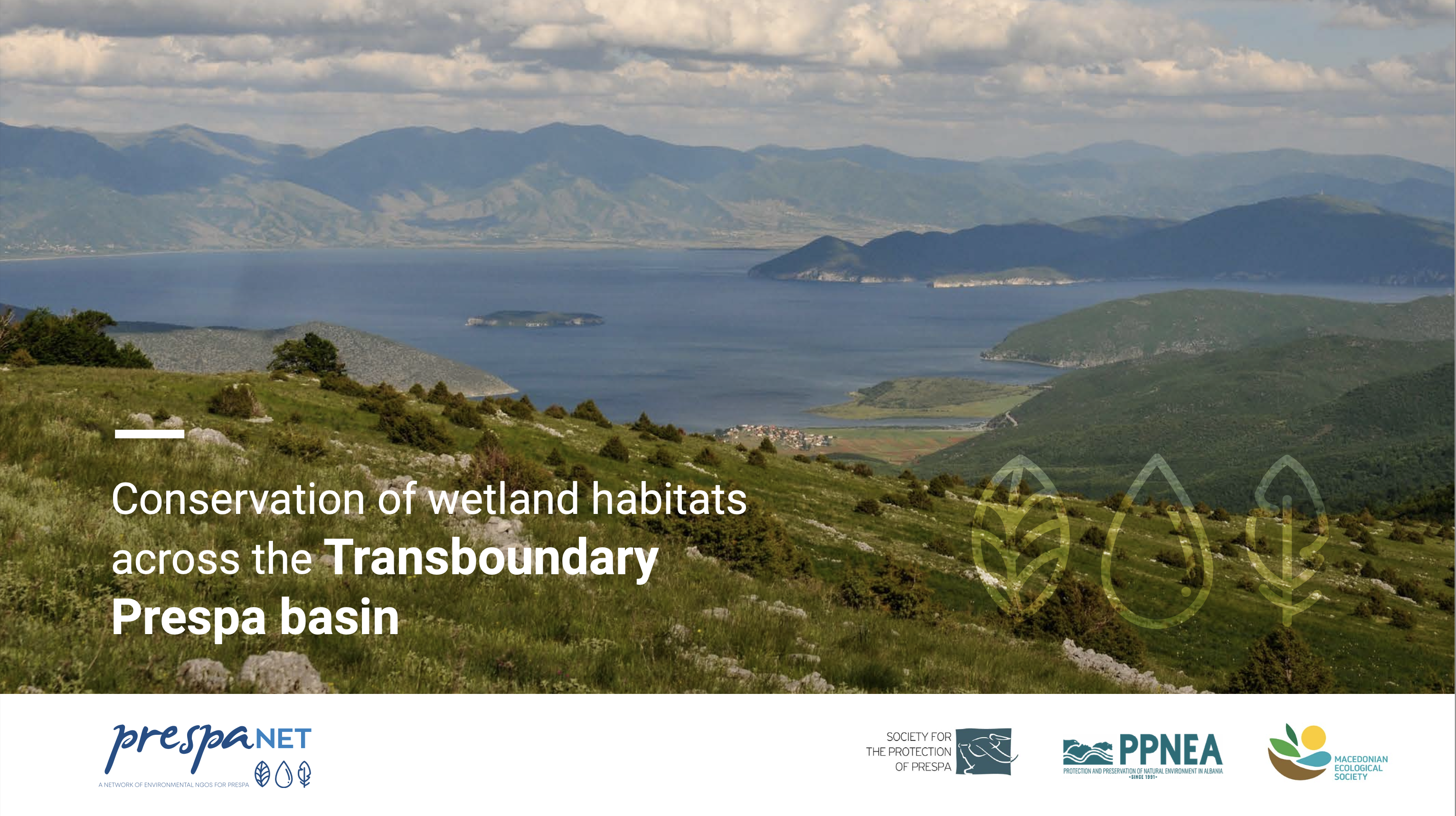 Conservation of wetland habitats across the Transboundary Prespa basin